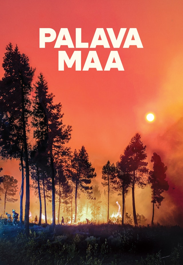 Palava maa