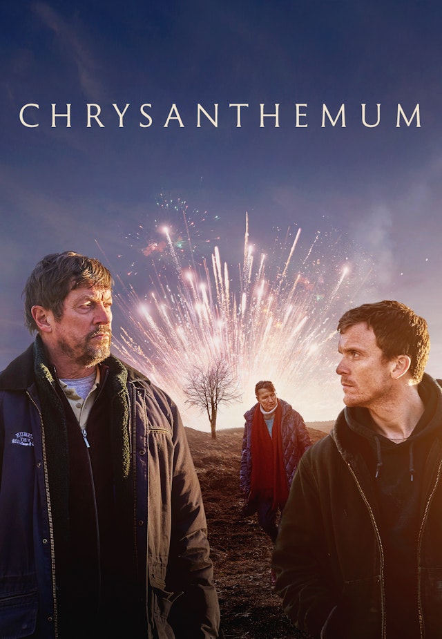 Chrysanthemum