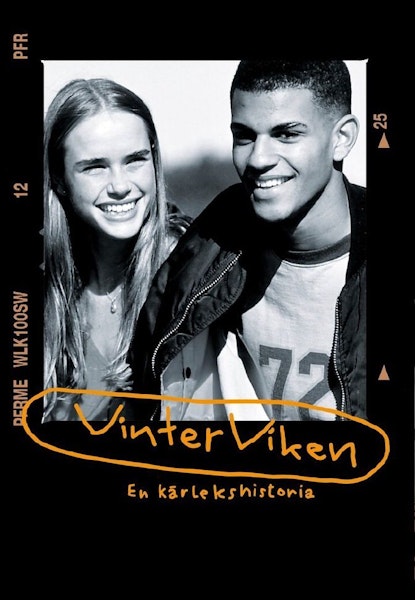 Vinterviken