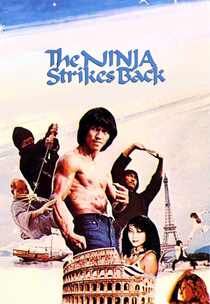 The Ninja Strikes Back