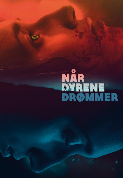 Når Dyrene Drømmer