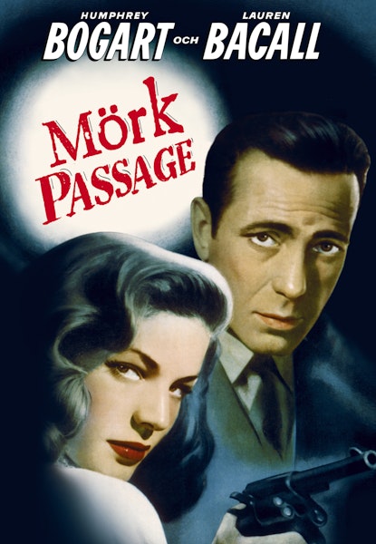 Mörk passage
