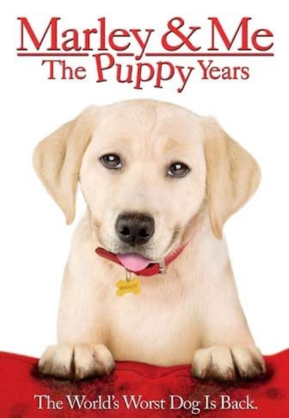 Marley and me 2
