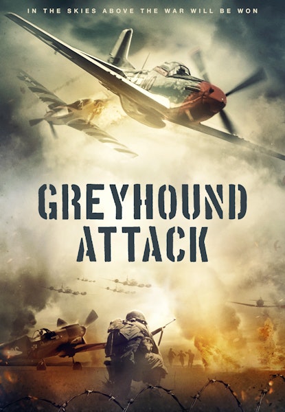 Greyhound Attack
