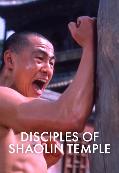 Disciples of Shaolin Temple