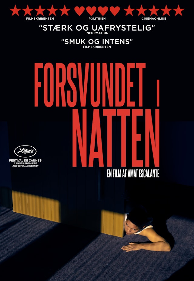 Forsvundet i natten