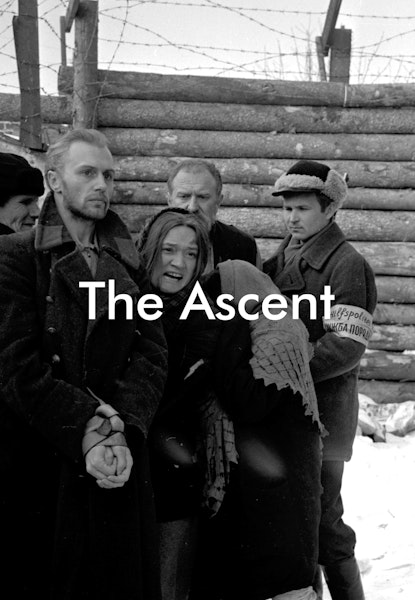 The Ascent