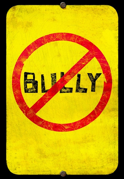 Bully