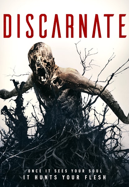 Discarnate