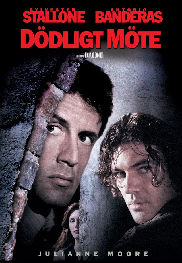 Dödligt möte