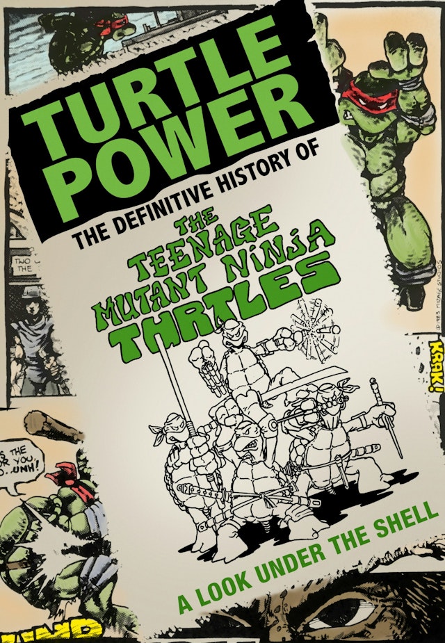 Turtle Power: The Difinitive History of the Teenage Mutent Ninja Turtles