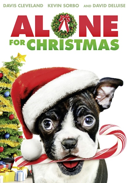 Alone for Christmas