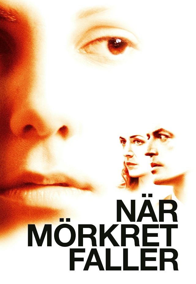 När mörkret faller