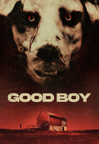 Good Boy