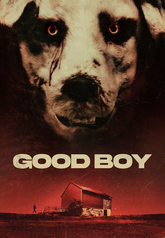 Good Boy