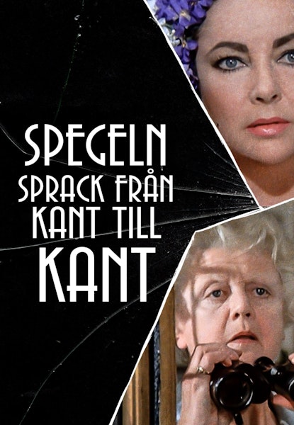 Spegeln sprack från kant till kant