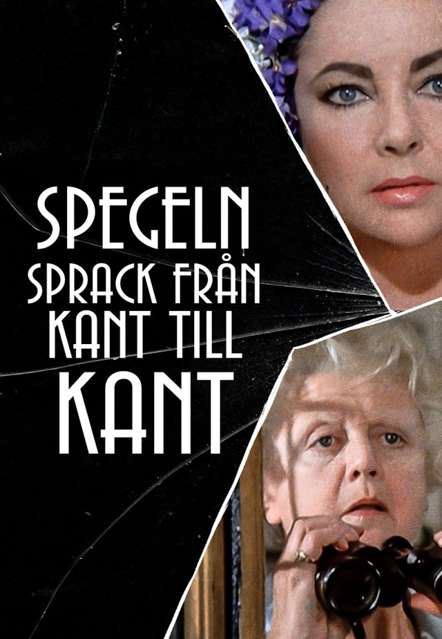 Spegeln sprack från kant till kant