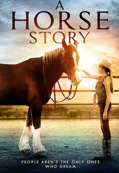 A Horse Story