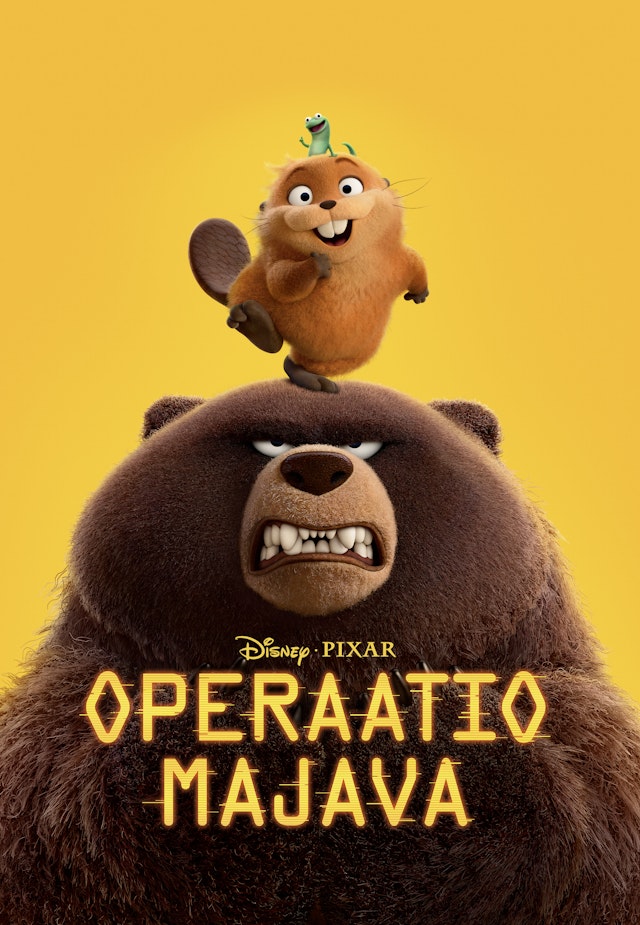 Operaatio Majava