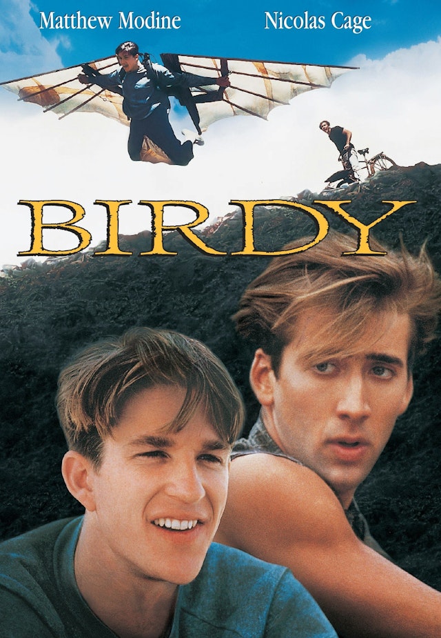 Birdy