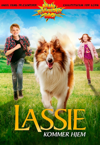 Lassie kommer hjem