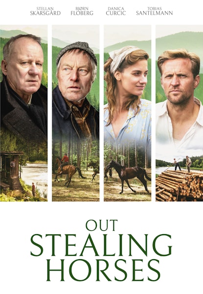 Out stealing horses
