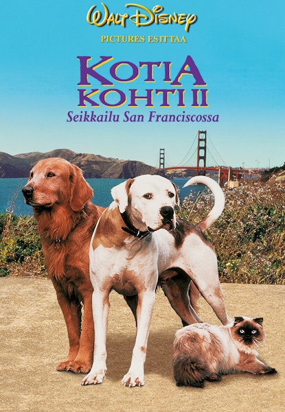 Kotia kohti 2 - Seikkailu San Franciscossa