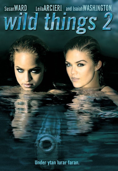 Wild Things 2
