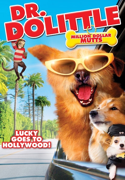 Dr. Dolittle 5: Lucky gjør Hollywood usikker!