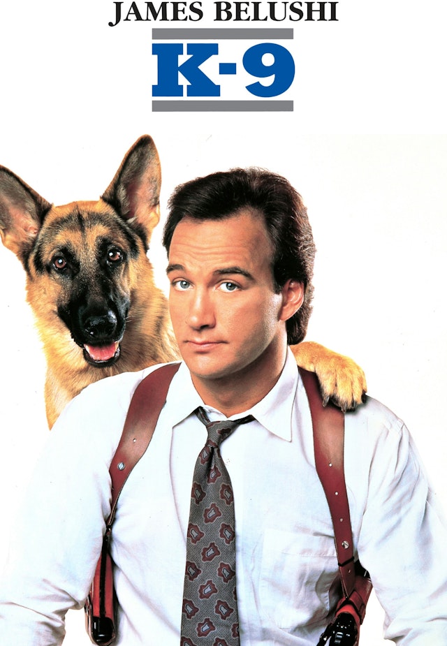 Hund og mand imellem