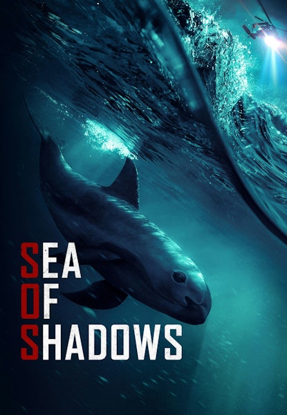 Sea Of Shadows