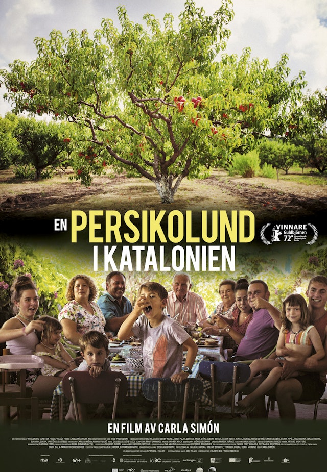 En persikolund i Katalonien