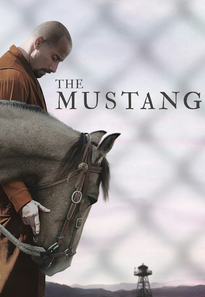 The Mustang