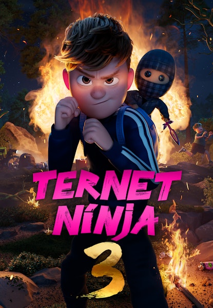 Ternet Ninja 3