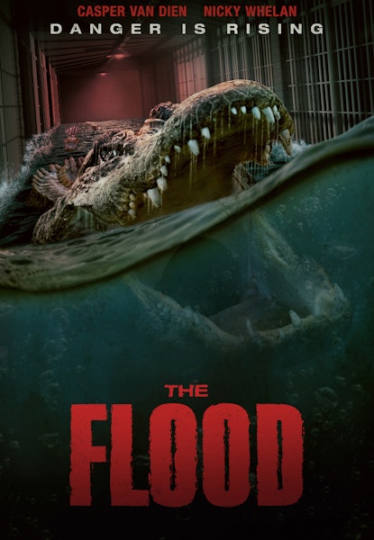The Flood