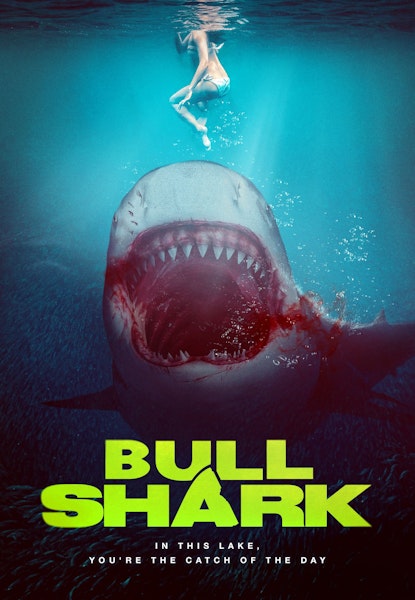 Bull Shark