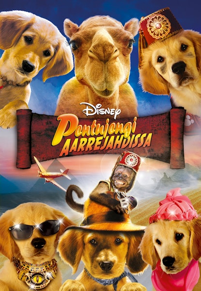 Pentujengi aarrejahdissa