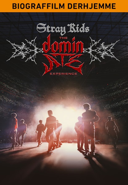 Stray Kids: The dominATE Experience