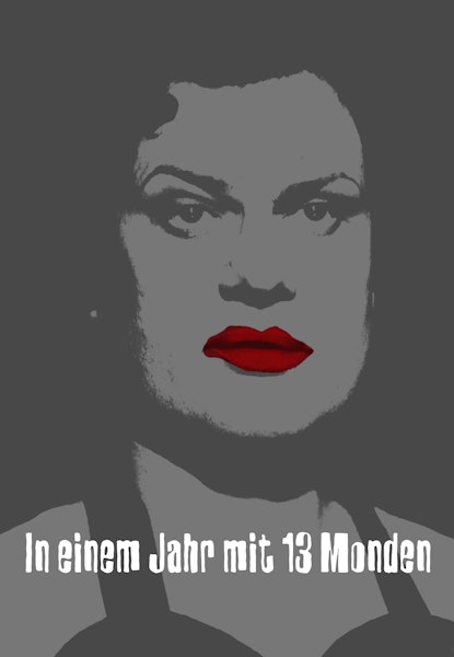 Ett år med tretton månar