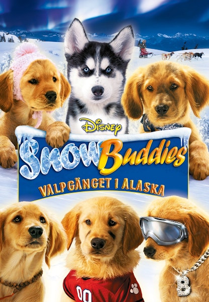 Snow Buddies - Valpgänget i Alaska