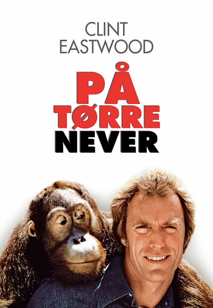 På tørre never