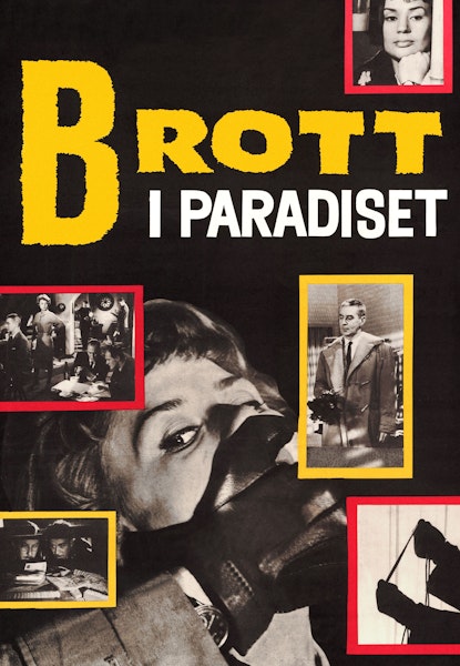 Brott i paradiset