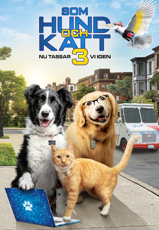 Som hund och katt 3: Nu tassar vi igen
