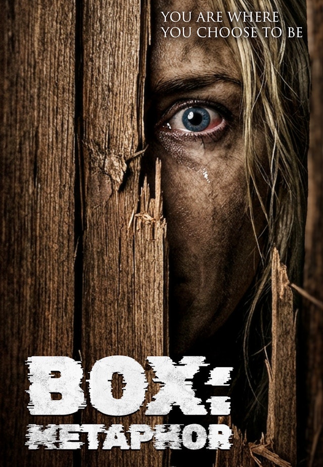 Box: Metaphor