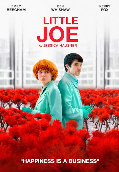 Little Joe