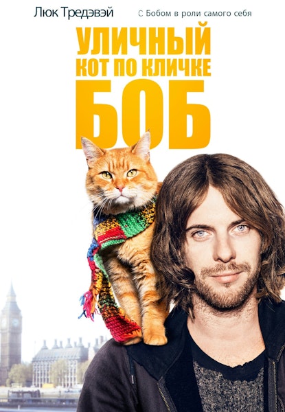 A Street Cat named Bob