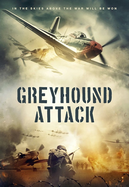 Greyhound Attack