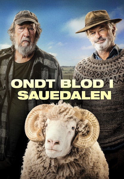 Ondt blod i Sauedalen