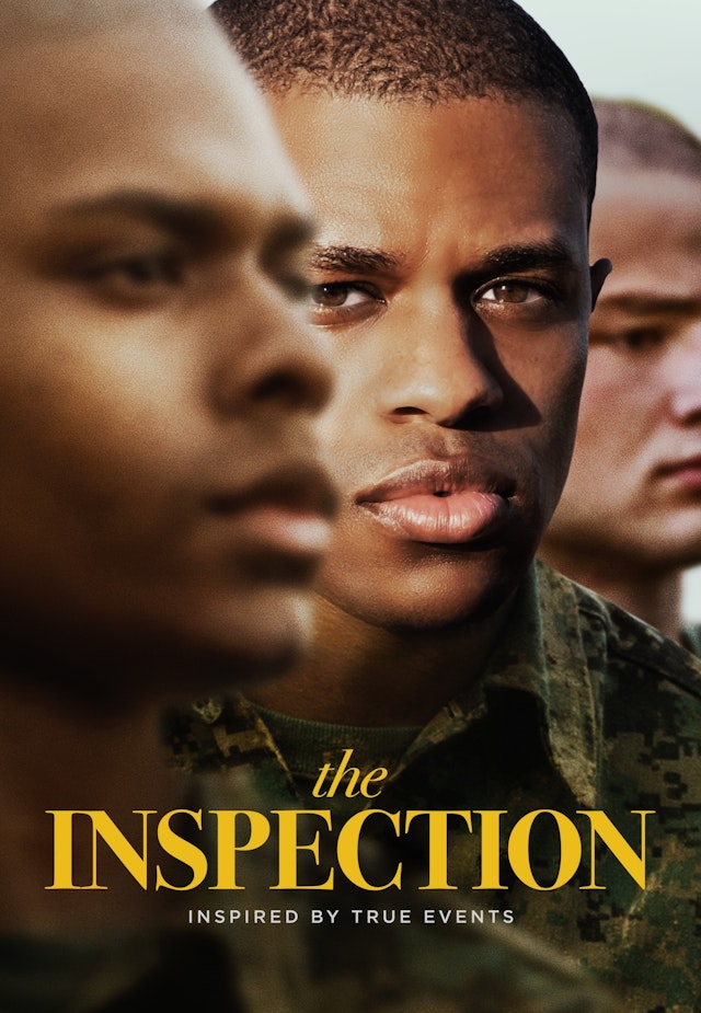 The Inspection