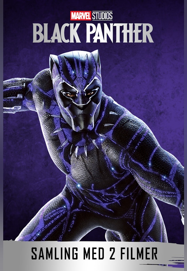 Black Panther 2-Movie Collection